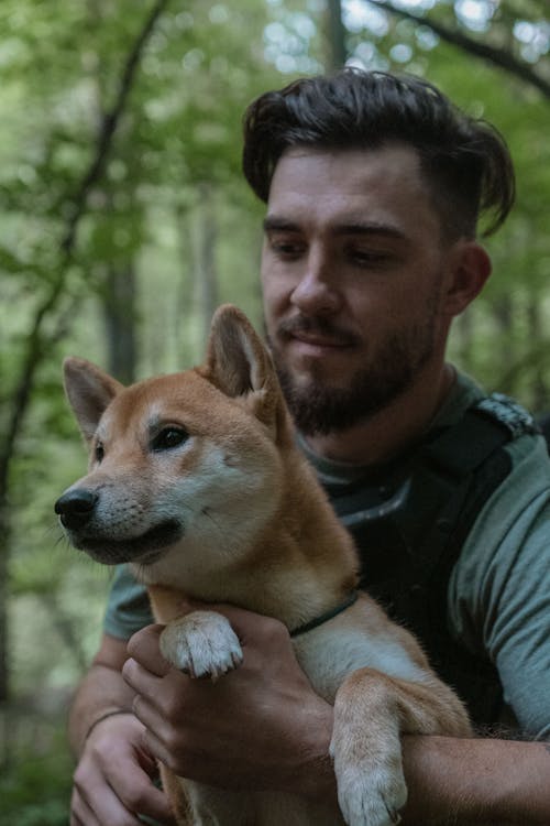 Immagine gratuita di adorabile, animale domestico, cane