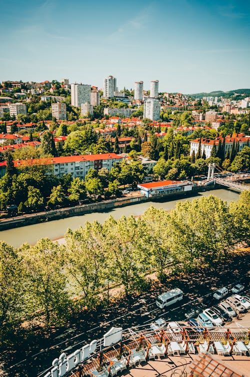 Darmowe zdjęcie z galerii z drzewa, dzielnica mieszkaniowa, dzielnice mieszkalne