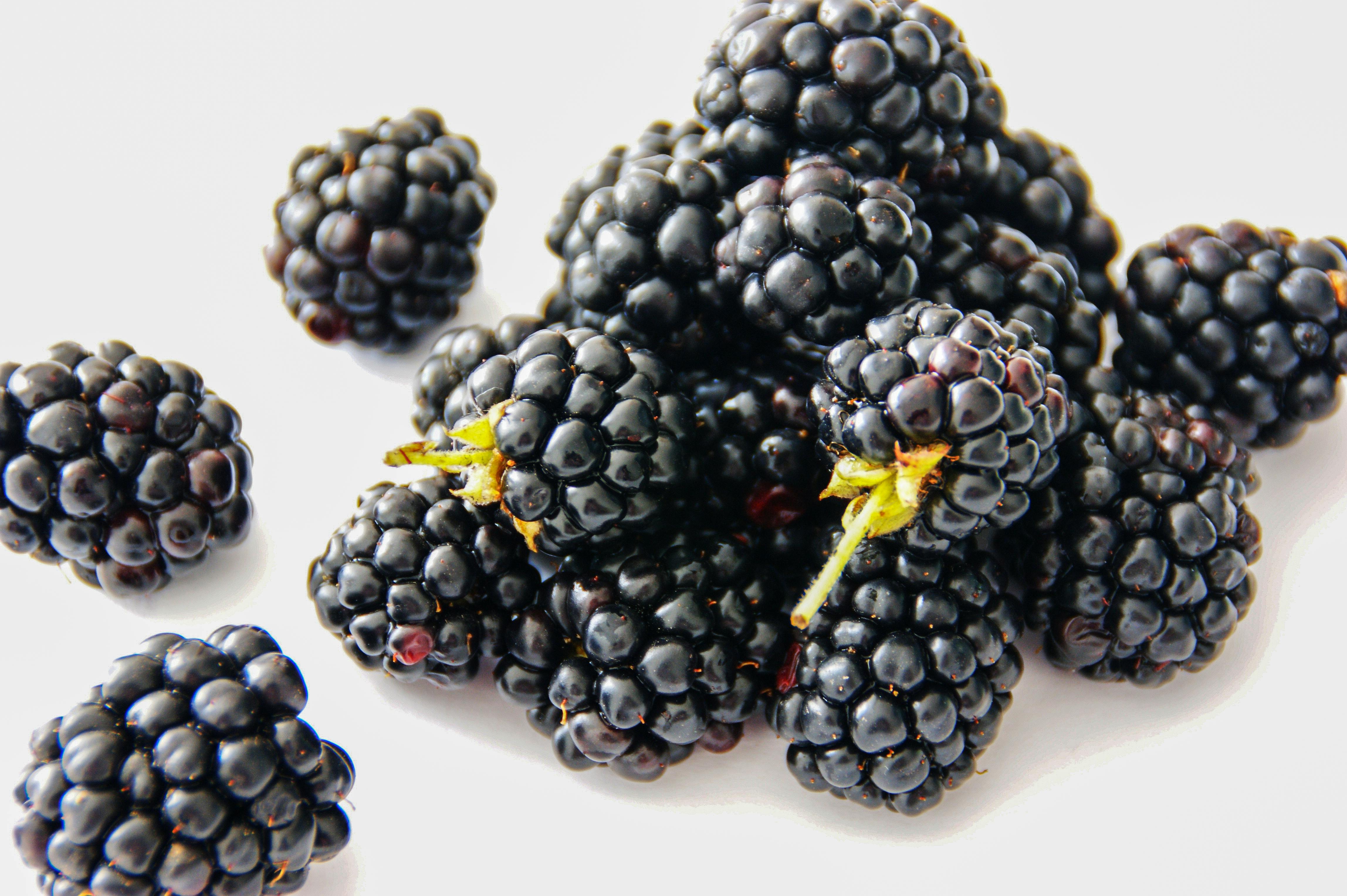 Blackberry Photos, Download The BEST Free Blackberry Stock Photos & HD  Images