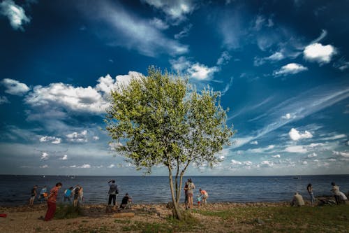 Free stock photo of people, seaview, sky