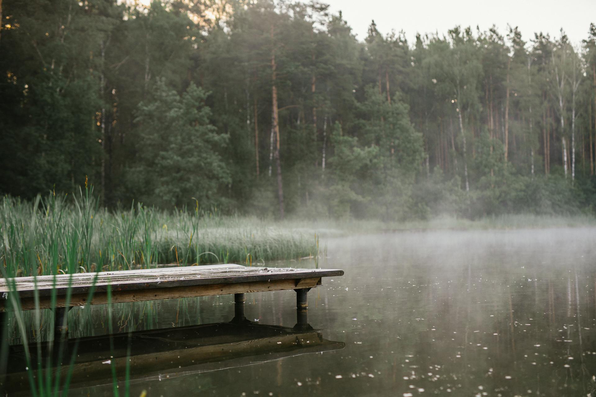 A Wooden Dock on the Lake Near Green Trees