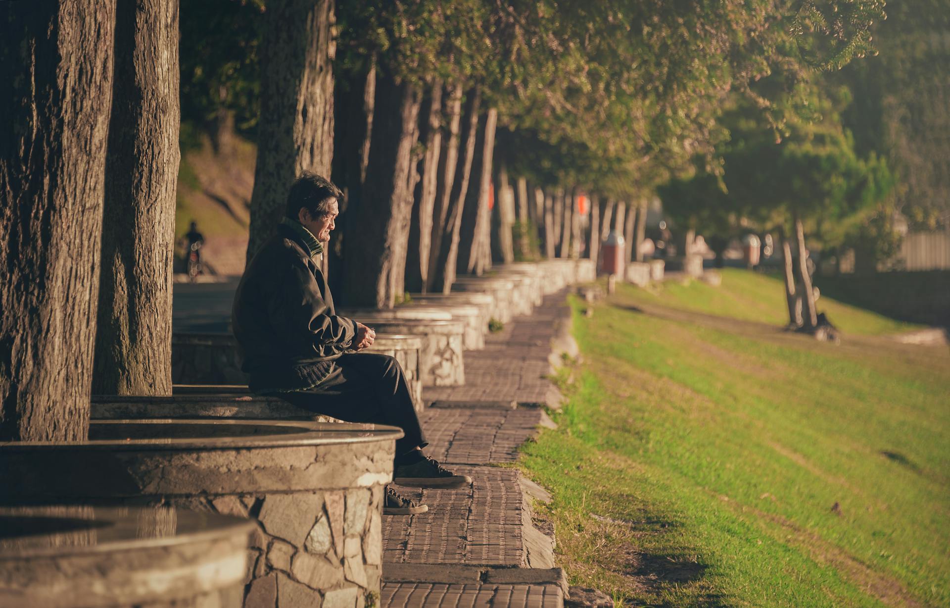 Solitary elderly man sitting on a park bench, surrounded by trees and grass on a sunny day.