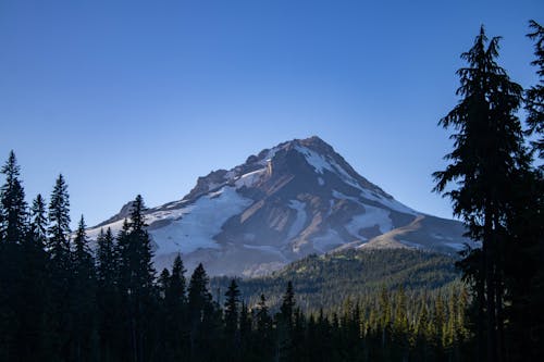 Free Scenic Shot of Mount Hood Stock Photo