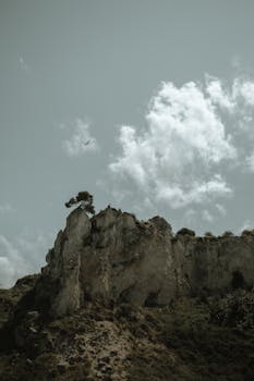 image.mefiz.com