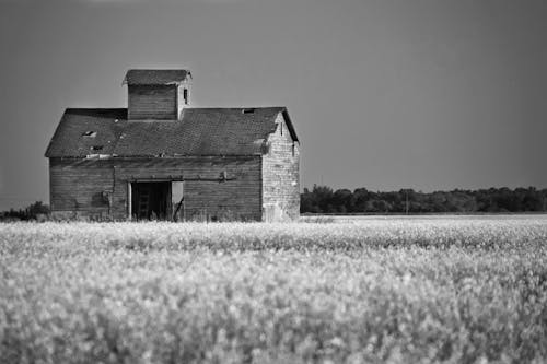 Grayscale Photo of a Barn in a Field