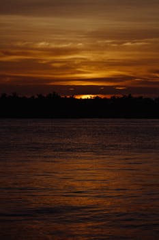 A serene sunset casting warm golden hues over a calm body of water with silhouetted trees.