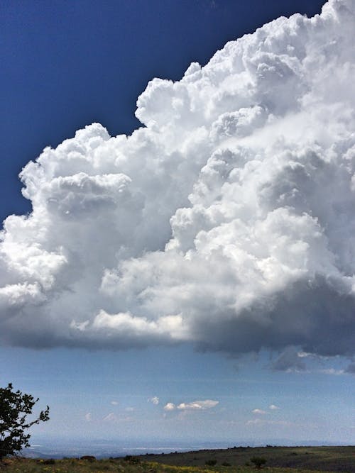 Gratis arkivbilde med himmel, hvit, natur