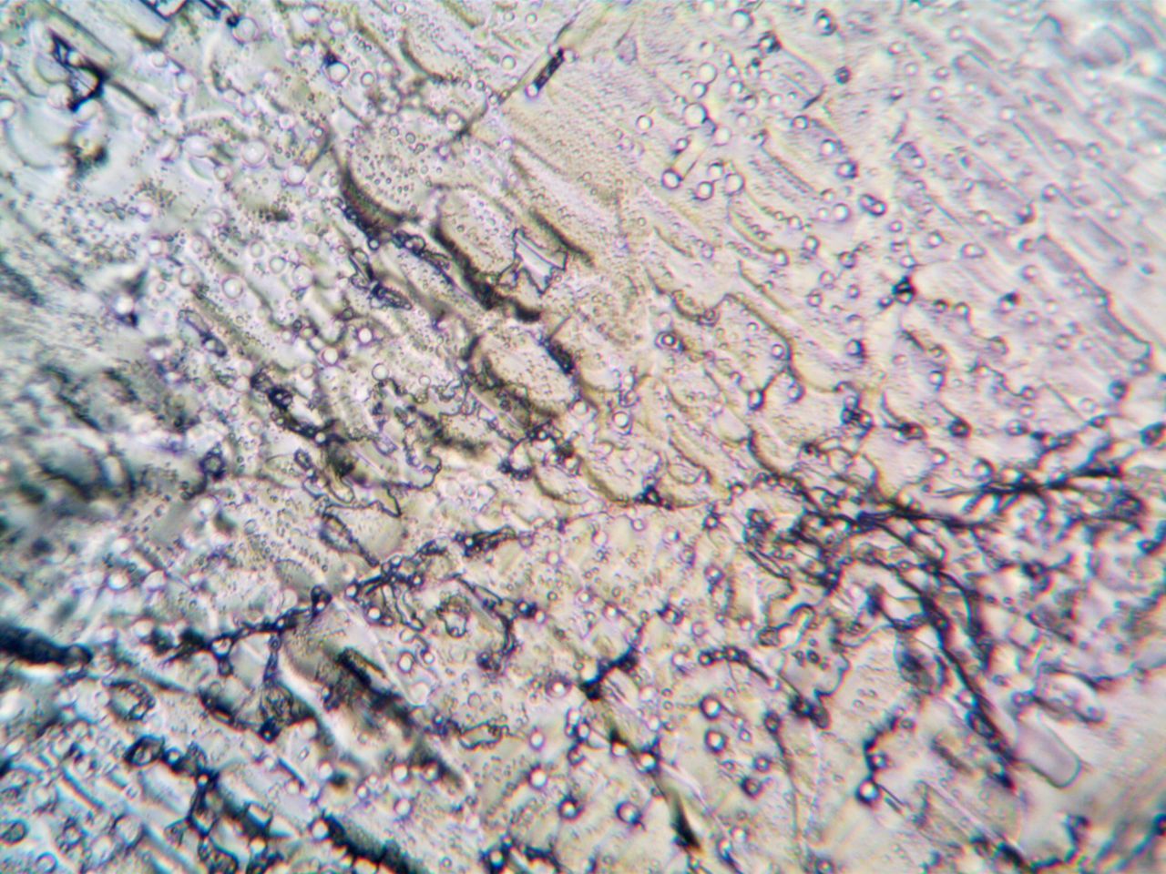 high resolution abstract image showing crystals under a microscope wit