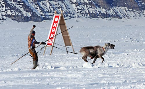 Skier Pulled by a Reindeer