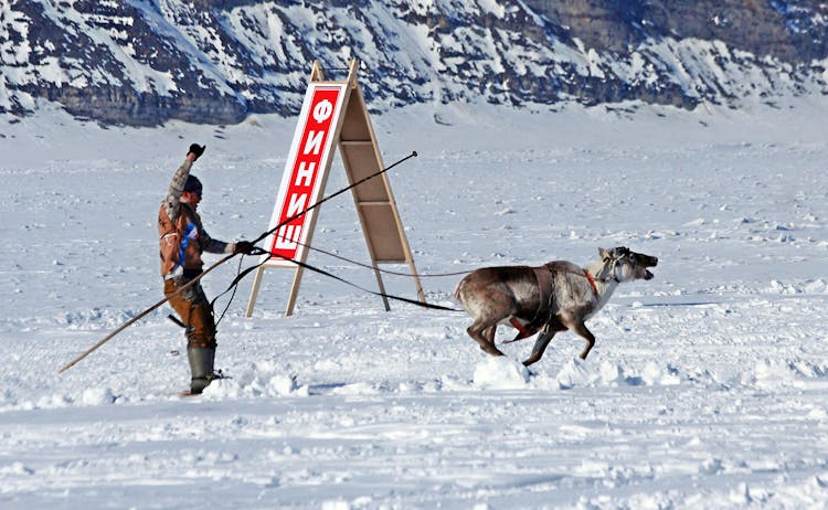 Skier Pulled By A Reindeer