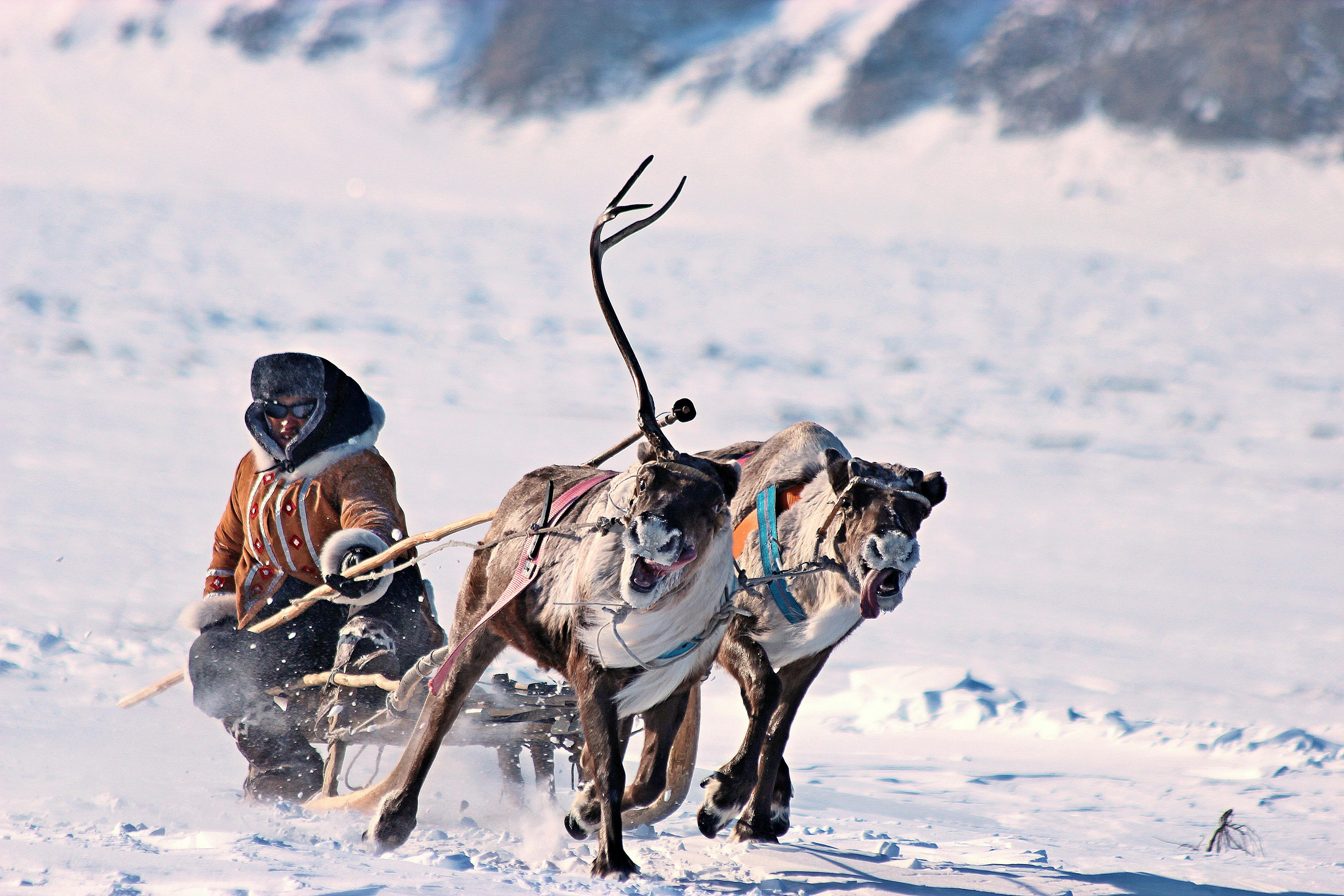 Featured image for: Arctic Geopolitics, Resources, and Indigenous Rights: A Comparative FAQ Guide