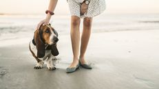 A Woman Holding her Pet Dog on the Beach