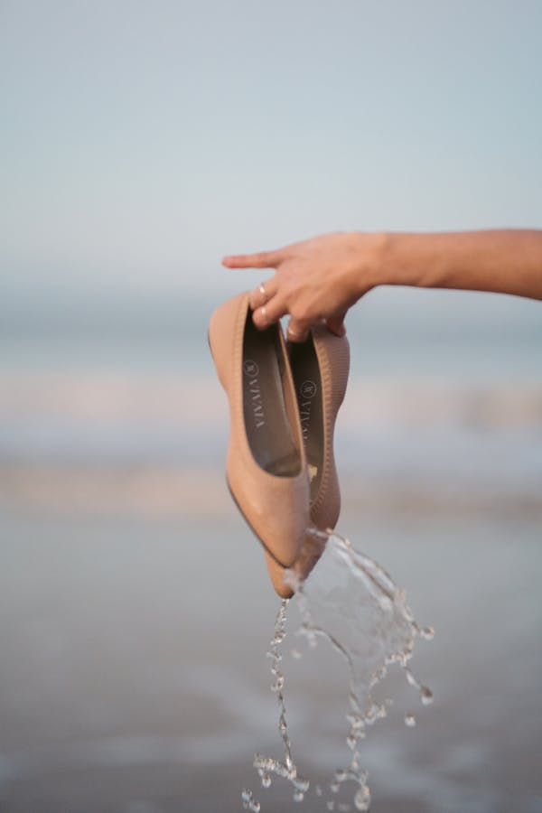 Person Holding Brown and Black Shoe