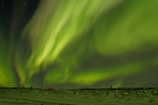 Captivating green aurora borealis dancing across the starry night sky over a serene landscape.