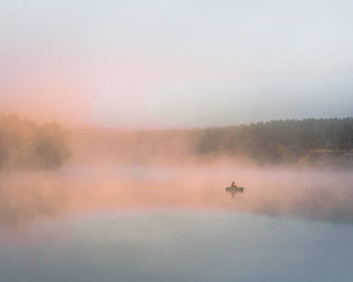 ağaçlar, Balık tutmak, deniz aracı içeren Ücretsiz stok fotoğraf