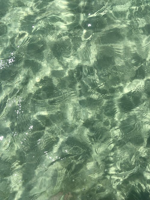Clear Water With Green Water