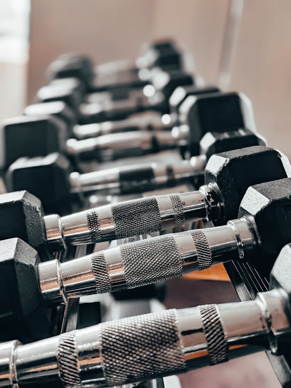 Black and Silver Dumbbells on Rack