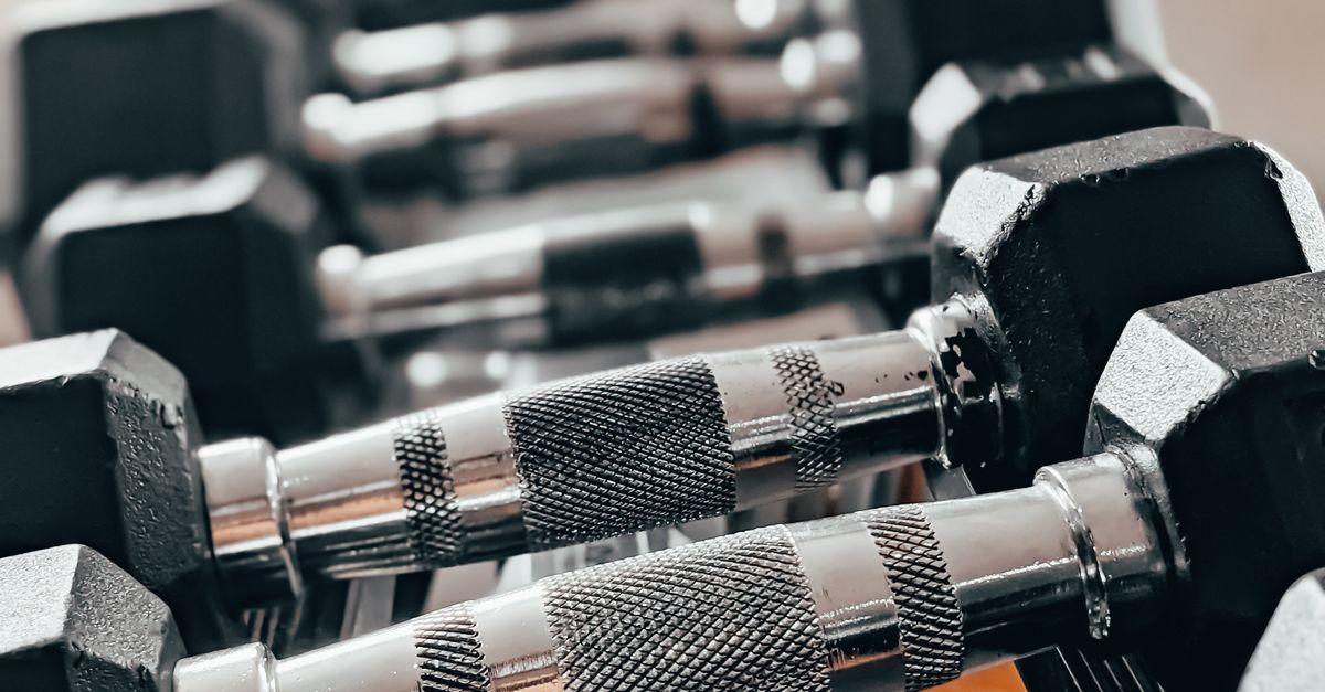 Dumbbell Rack Row Row of Dumbbells on Rack Β· Free Stock Photo