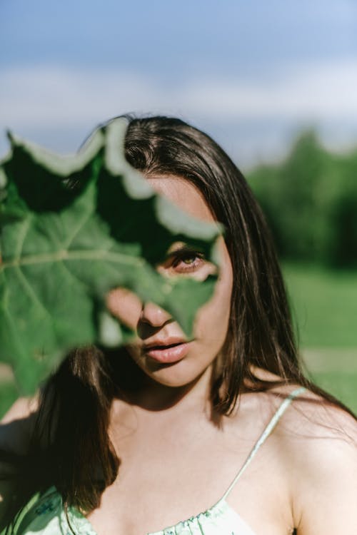 Gratis stockfoto met bedekkend gezicht, blad, Bos