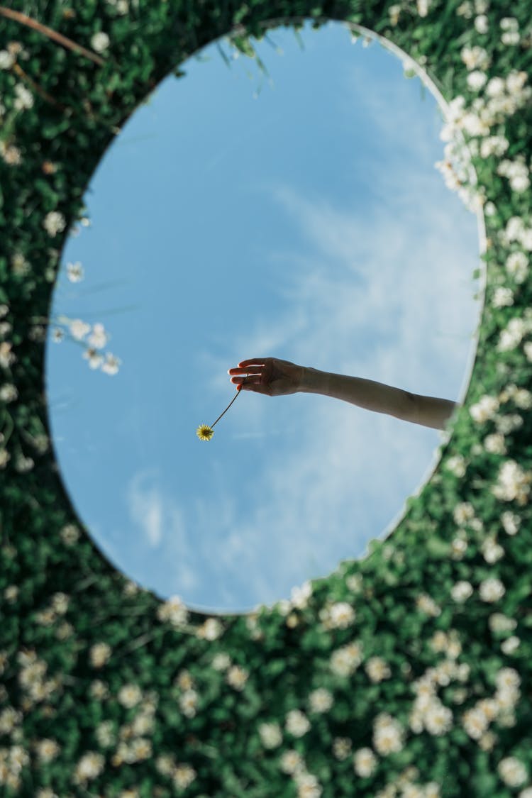 An Oval Mirror Lying On The Flower Field