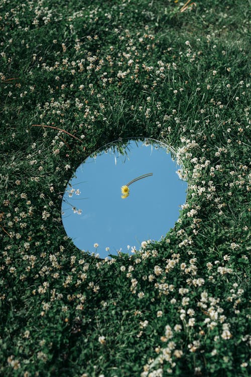 Round Mirror in Green Grass Field