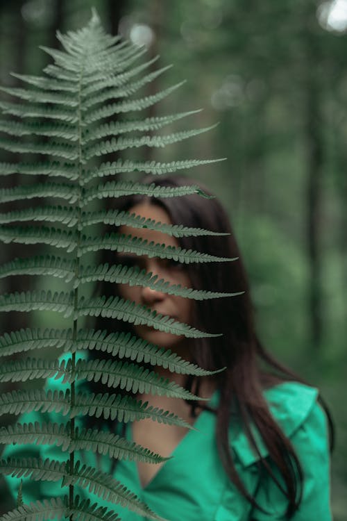Free A Woman Behind a Fern Leaves Stock Photo