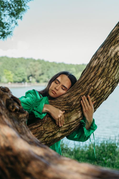 Free Woman in green hugging a tree with closed eyes near a serene lake under the summer sky. Stock Photo