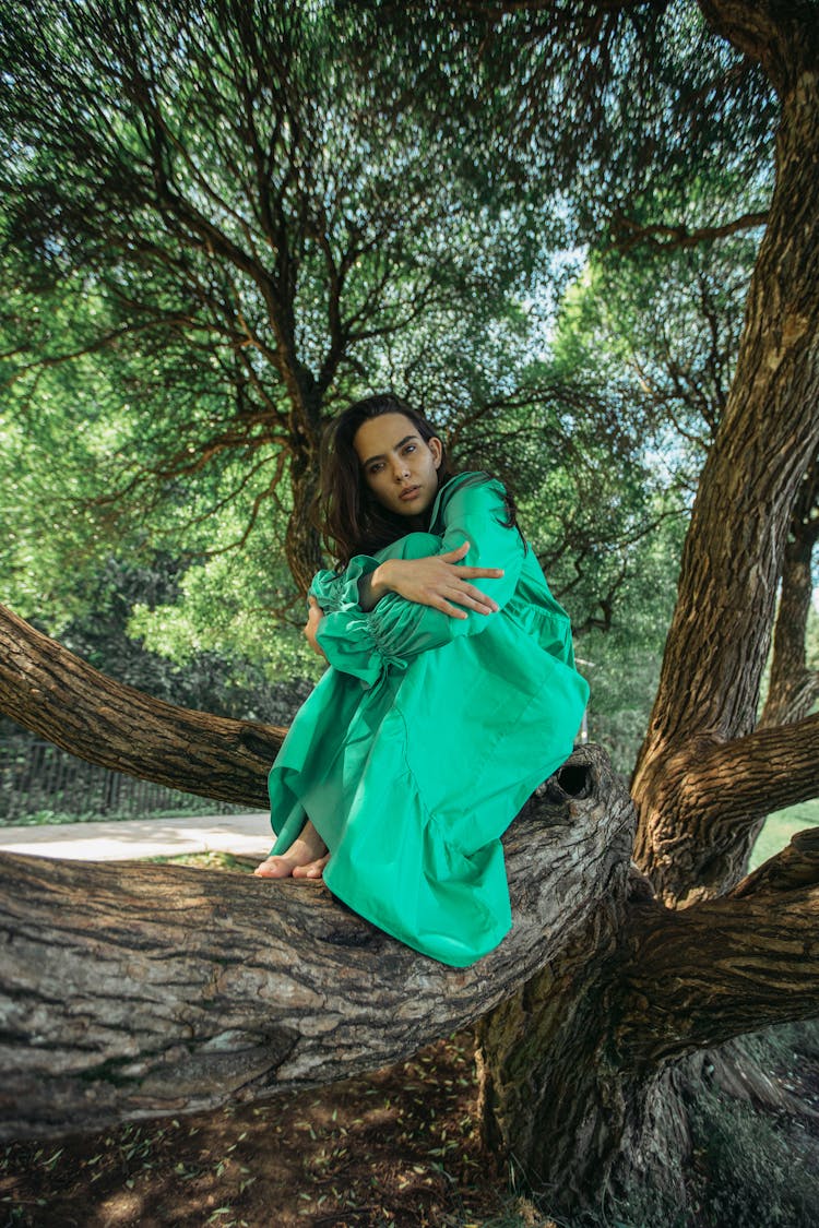 Woman On A Tree Hugging Her Knees