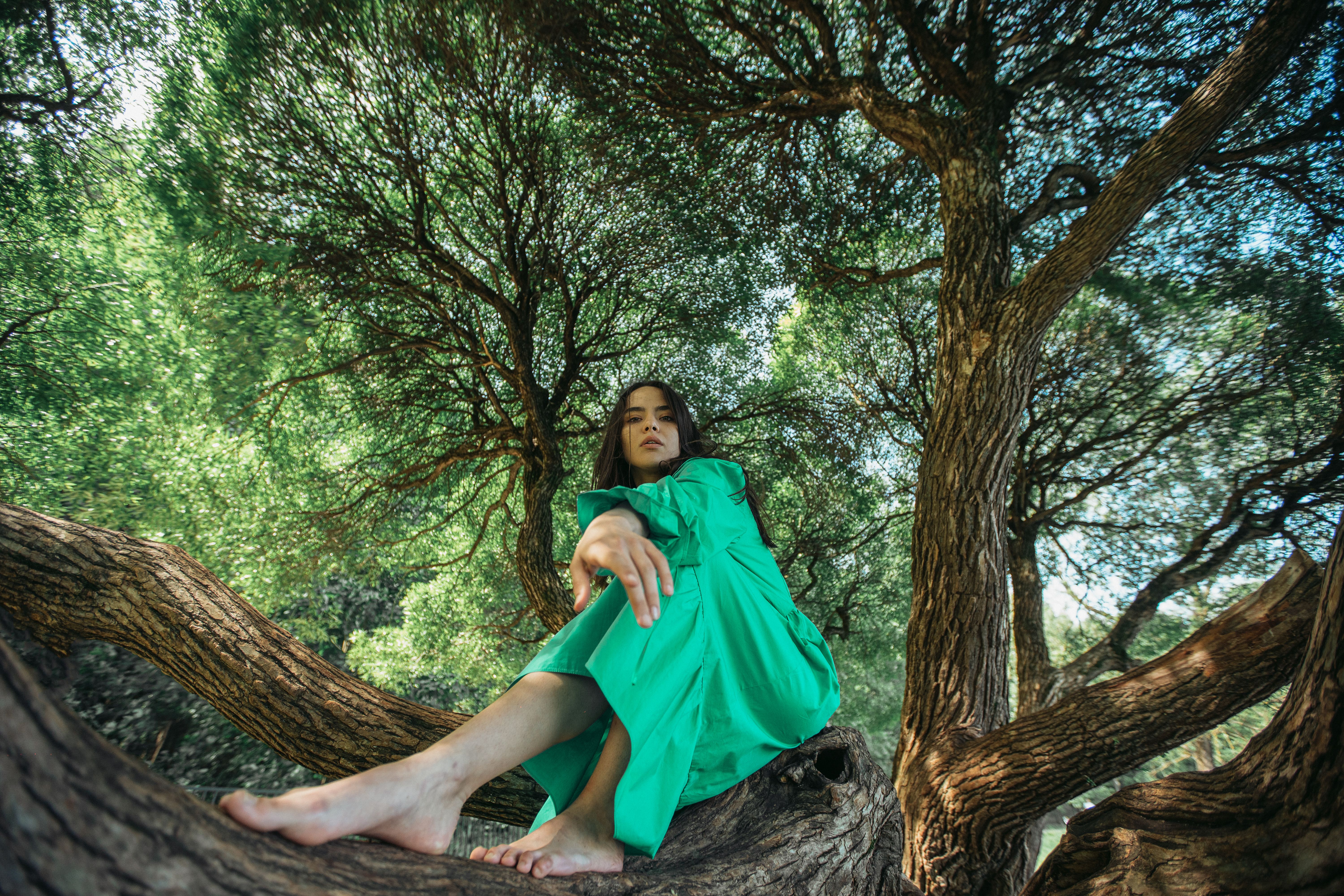 Woman in Green Dress Sitting on a Big Tree · Free Stock Photo
