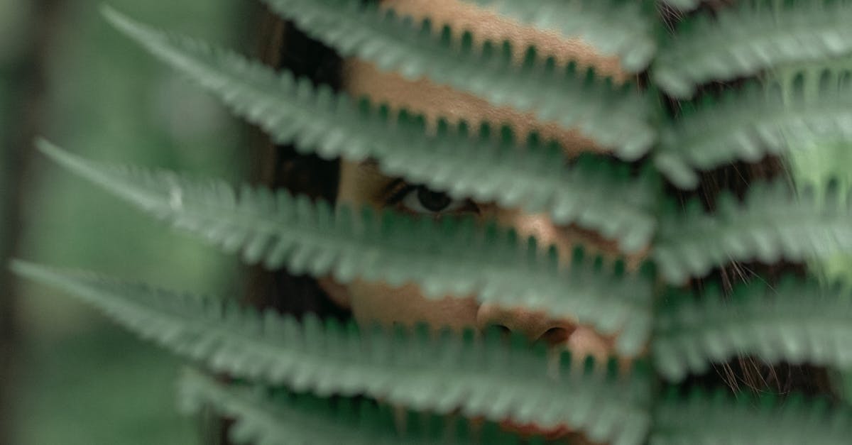 爆紅又暴利?彩券行數量直逼超商原因曝光 🤑