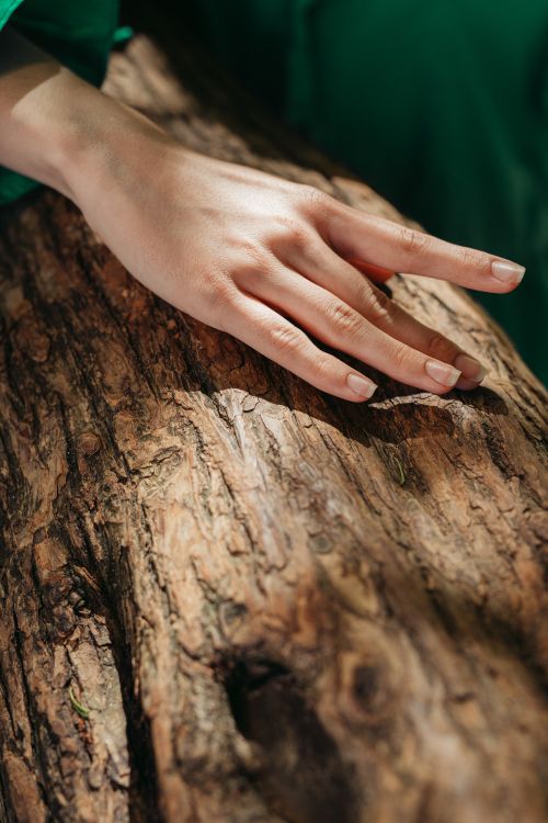 Free Close-up of a hand gently touching the textured bark of a tree, emphasizing the connection with nature. Stock Photo