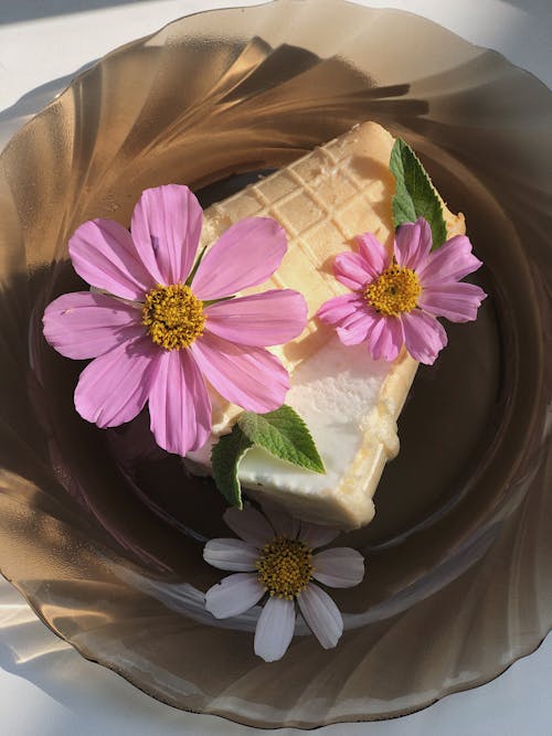 Ilmainen kuvapankkikuva tunnisteilla jäätelö, käpy, koristeltu