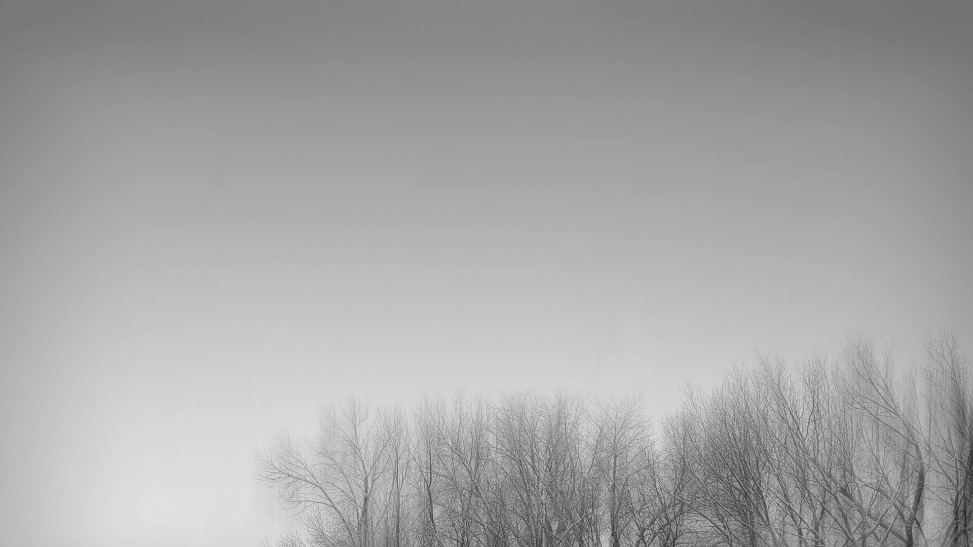 Free stock photo of black and white, minimal, minimalism