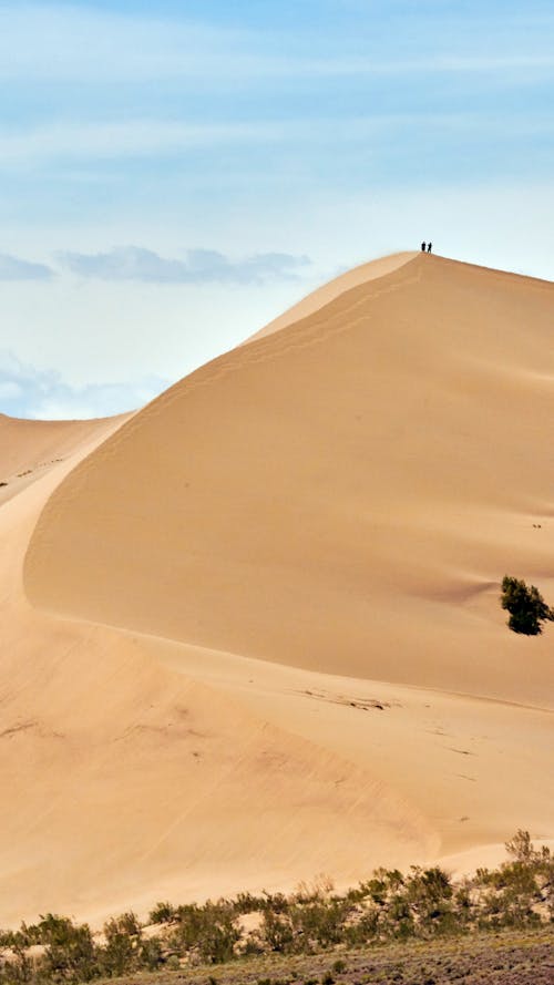 Základová fotografie zdarma na téma duna, extrémní terén, krajina