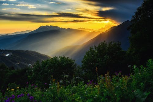 Nature Photography During Sunset