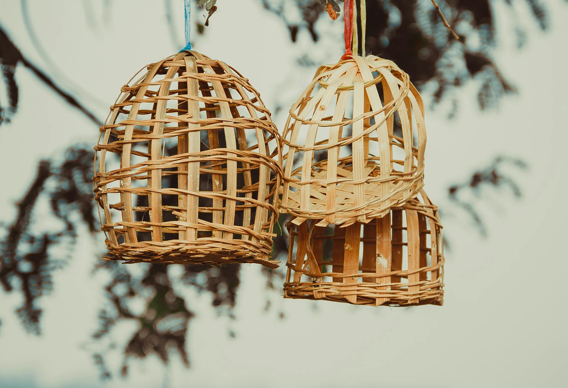 Hanging Bamboo Cages