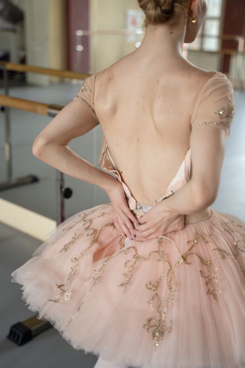 Free Ballerina in soft pink tutu adjusting her dress in a dance studio setting. Stock Photo