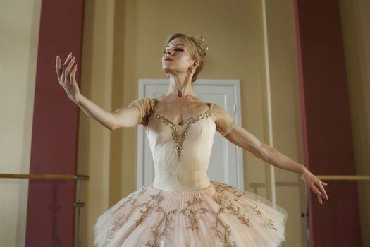 Graceful ballerina in pink tutu performing a pose indoors.