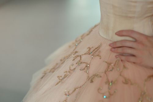 Free Close-up of a beautifully embellished ballet tutu, showcasing intricate golden designs. Stock Photo