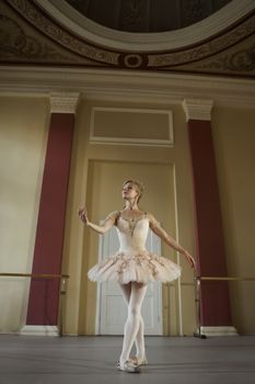 A skilled ballet dancer performs gracefully in a classical studio setting, wearing a tutu.