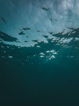 Serene deep ocean scene with diffused sunlight filtering through the water surface.