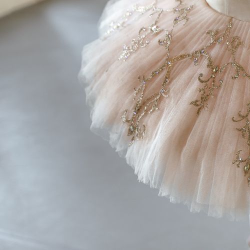 Free Close-up of a pastel ballet tutu showcasing intricate glittering designs. Stock Photo