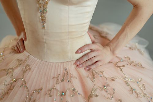 Free Close-up of a ballerina's detailed pink tutu with delicate embroidery, hands on hips. Stock Photo