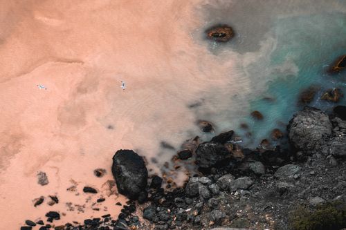 Free An aerial shot showcasing a rocky coastline meeting a sandy beach with seagulls in flight. Stock Photo