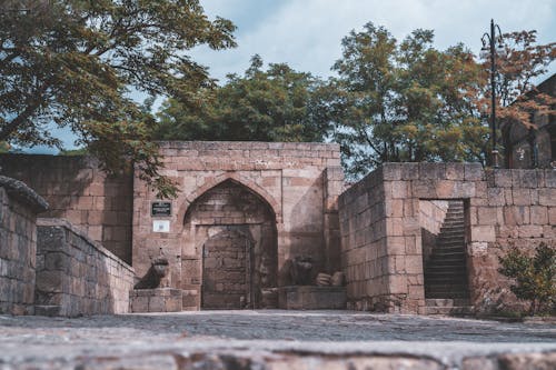 Trees around Medieval Walls