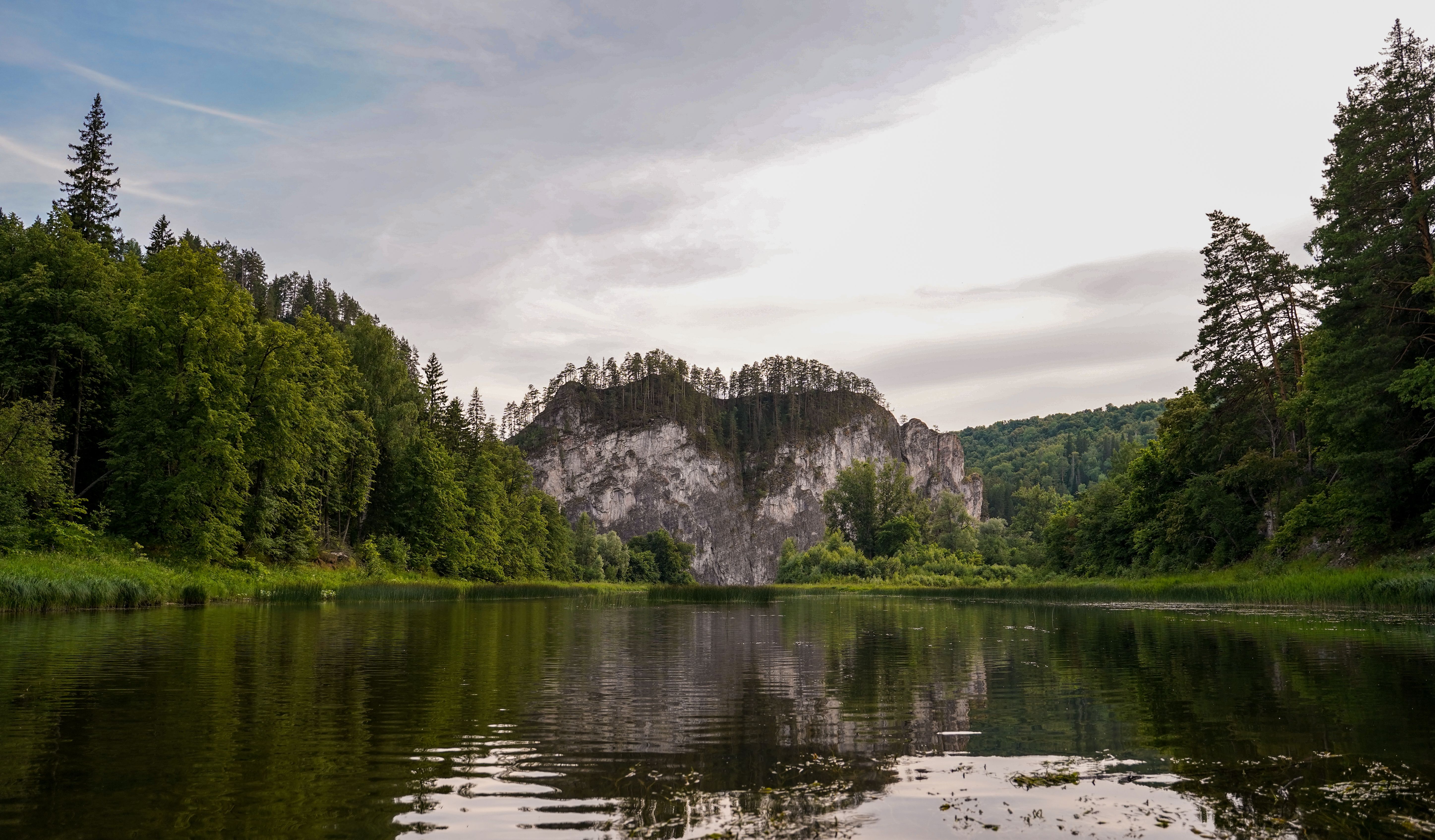 View of a Lakeshore Cliff and the Surrounding Forest · Free Stock Photo