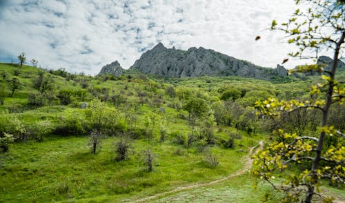 Foto profissional grátis de árvores, calmaria, colinas