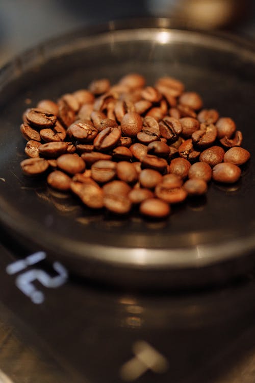 Free Close-Up Shot of Coffee Beans  Stock Photo