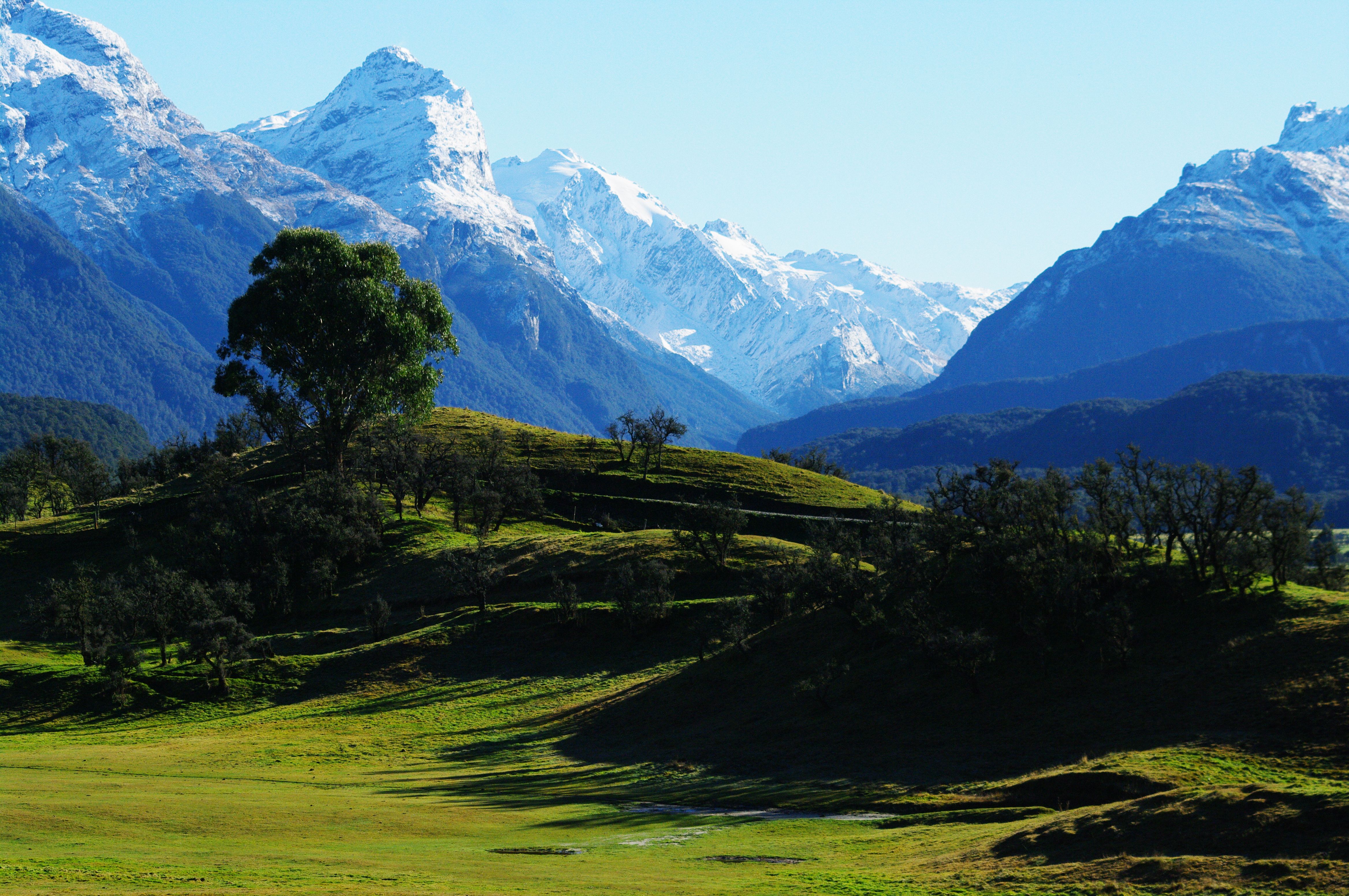 A World Above the Trees: Introducing New Zealand's Alpine Zone