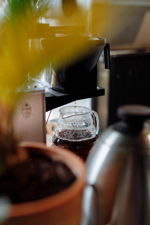 Free Coffee being Brewed Stock Photo